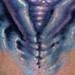tattoo galleries/ - bio eye  - 41405